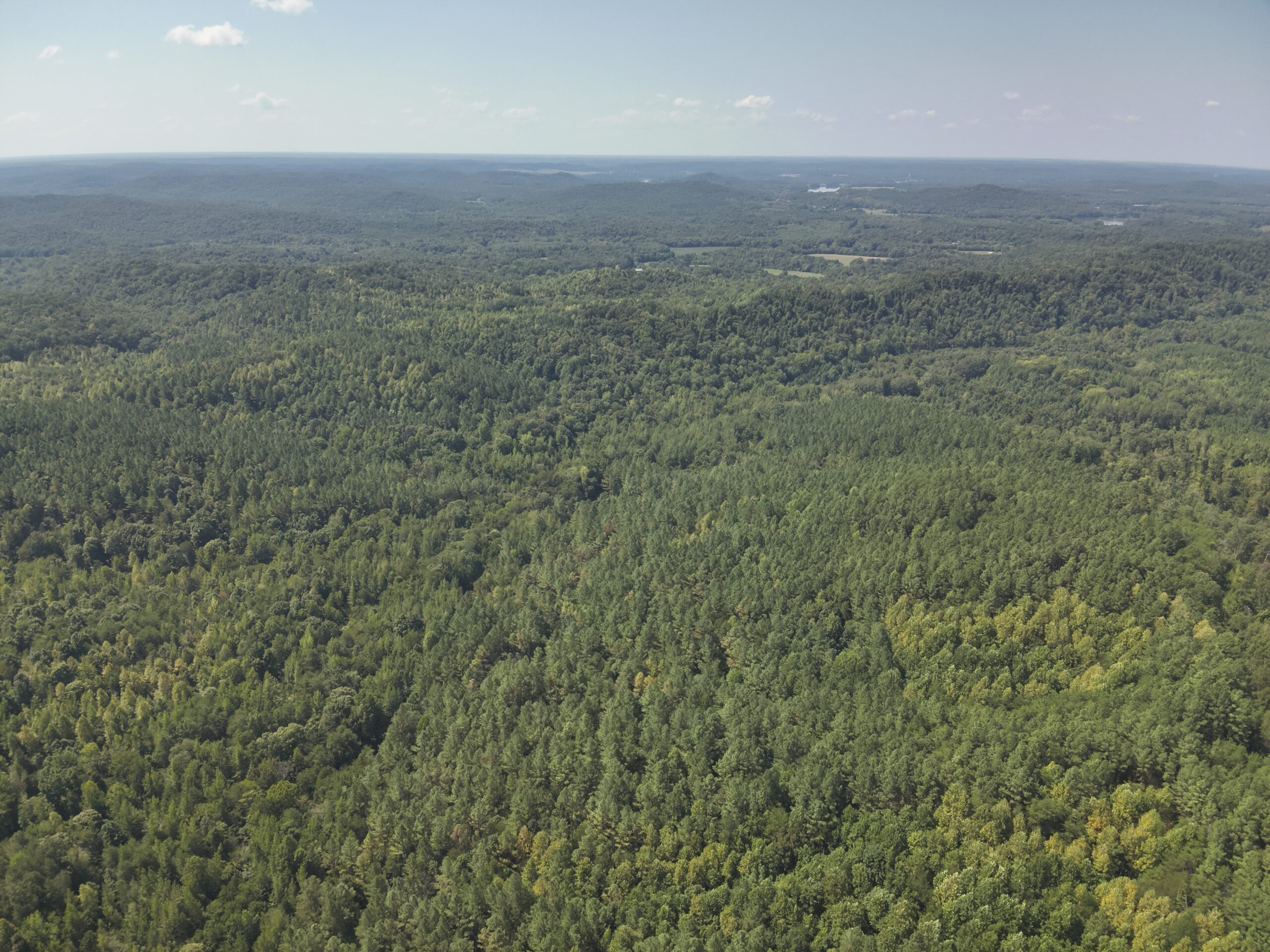 231.15 Acre Timber Land for Sale in Clifton, Tennessee