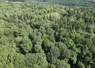 Secluded Central Ohio Hunting and Timber Land
