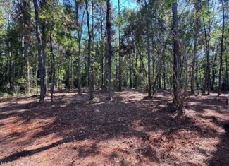 32 +/- Acres Near McComb, MS – Hunting, Timber, Homesite
