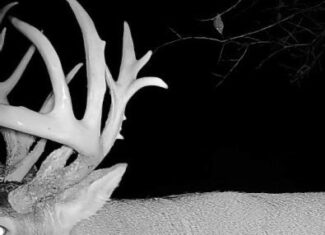 The Perfect 160 in Franklin County Kansas