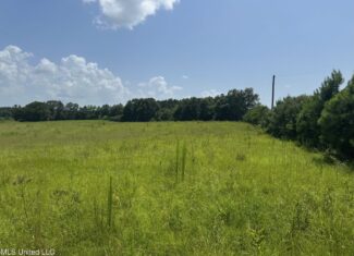 Mississippi Land for Sale Near Osyka MS & LA State Line
