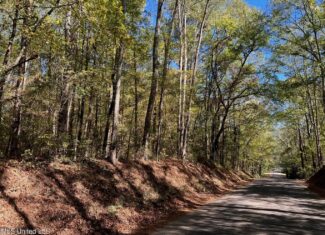 51.52 Acres Land for Sale Near McComb MS