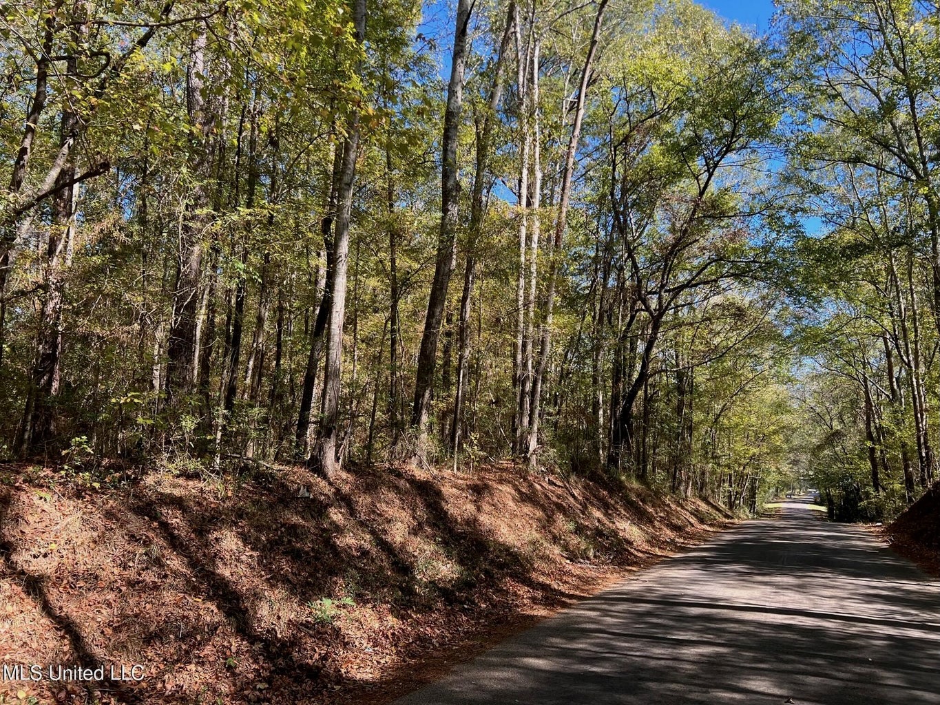 51.52 Acres Land for Sale Near McComb MS