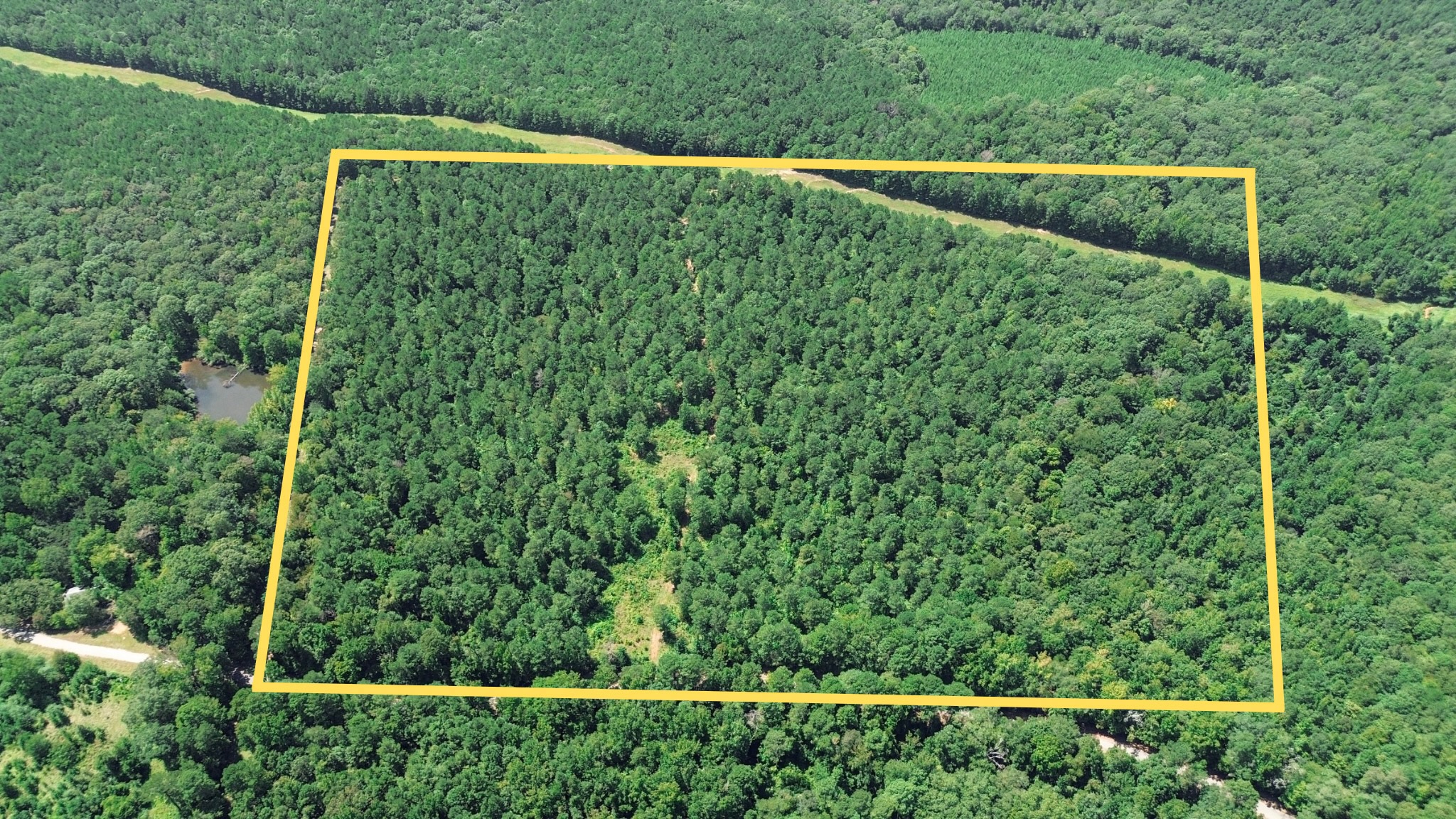 Lincoln Parish Timberland for Sale