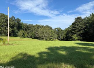 40 Acres with Country Home for Sale in Pike County MS