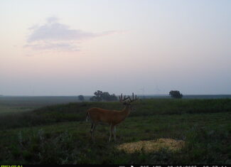 164 Acres – Premier Whitetail Hunting Property | Pratt County, KS