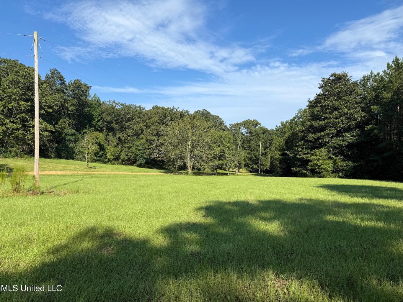 40 Acres with Country Home for Sale in Pike County MS