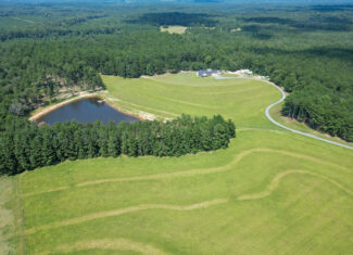 Fort Piney Woods