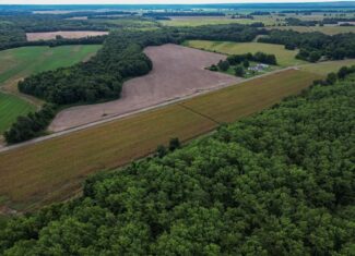 Tchula MS Delta 97 Acres