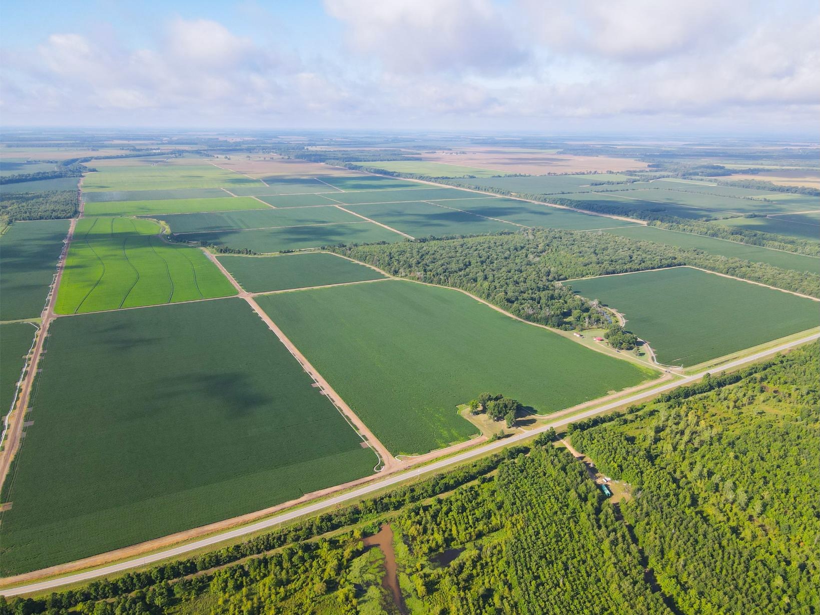 500 +/- Acres Precision Leveled and Irrigated Farmland