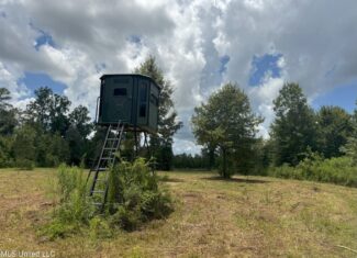 148 Acre Timberland Hunting Homesite Lincoln County, MS