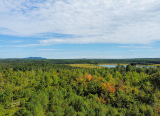 516 Acres Bordering State Wildlife Management Area