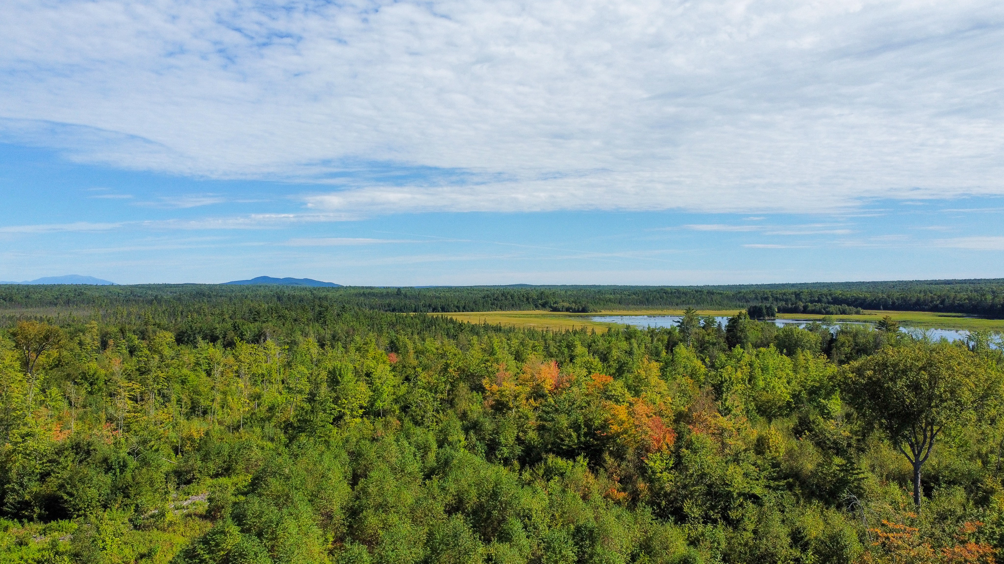 516 Acres Bordering State Wildlife Management Area