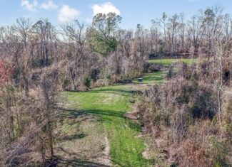 Rodney MS Hunting Land with Tiny Home & Lodge Potential