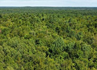 Private 25-Acre Woodlot with Trails & Recreation Access