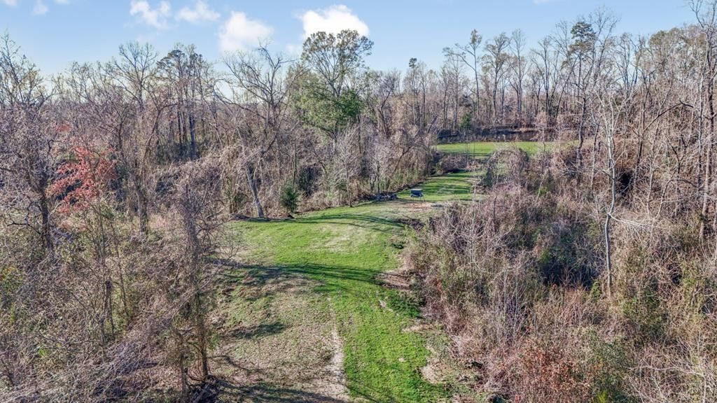 Rodney MS Hunting Land with Tiny Home & Lodge Potential