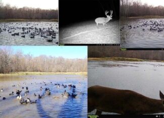 Final Flyway – Jefferson County MS Duck Hunting Land