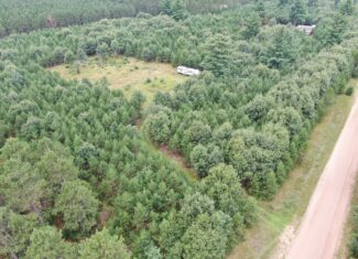 22.35+/- Wooded Acres in Adams County’s Town of Big Flats