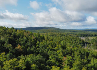 20 Acres with Katahdin Views – Springfield, Maine