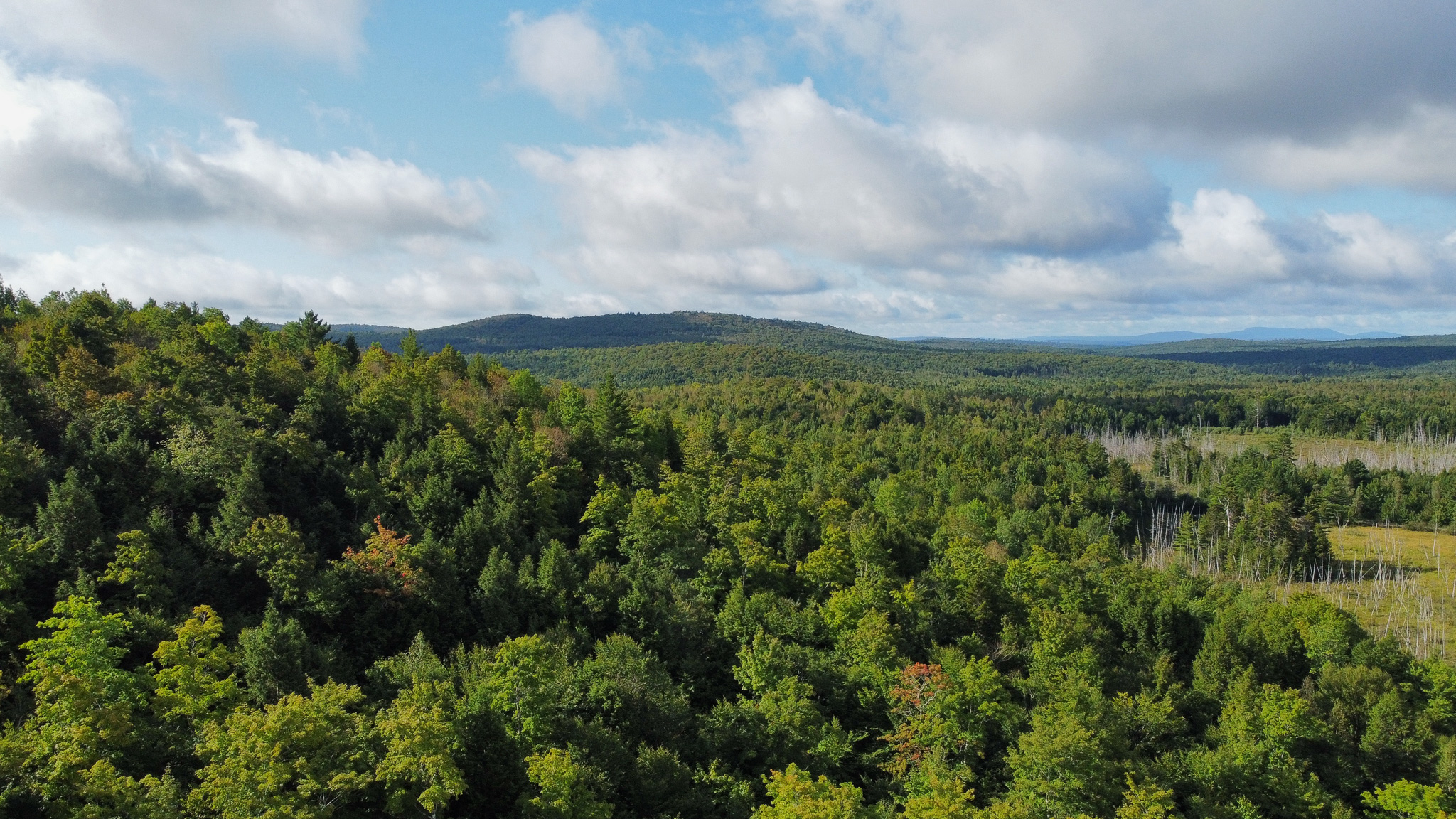 20 Acres with Katahdin Views – Springfield, Maine