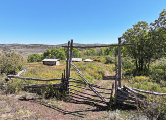 Western Colorado Ranch with Cabins, Ponds, Springs For Sale