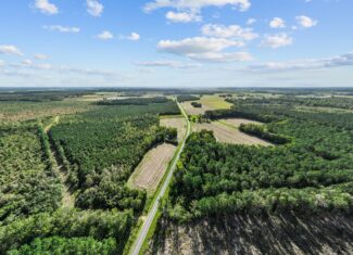 470-AC Prime Hunting Land for Sale in Pitt County, NC