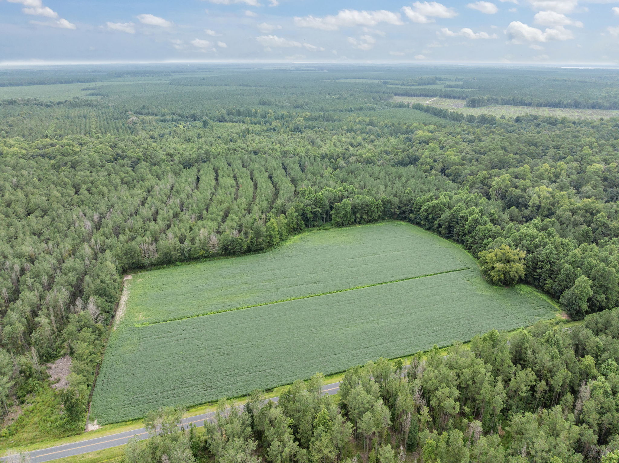 77-Acre Farm & Timberland with Hunting Near Aurora, NC
