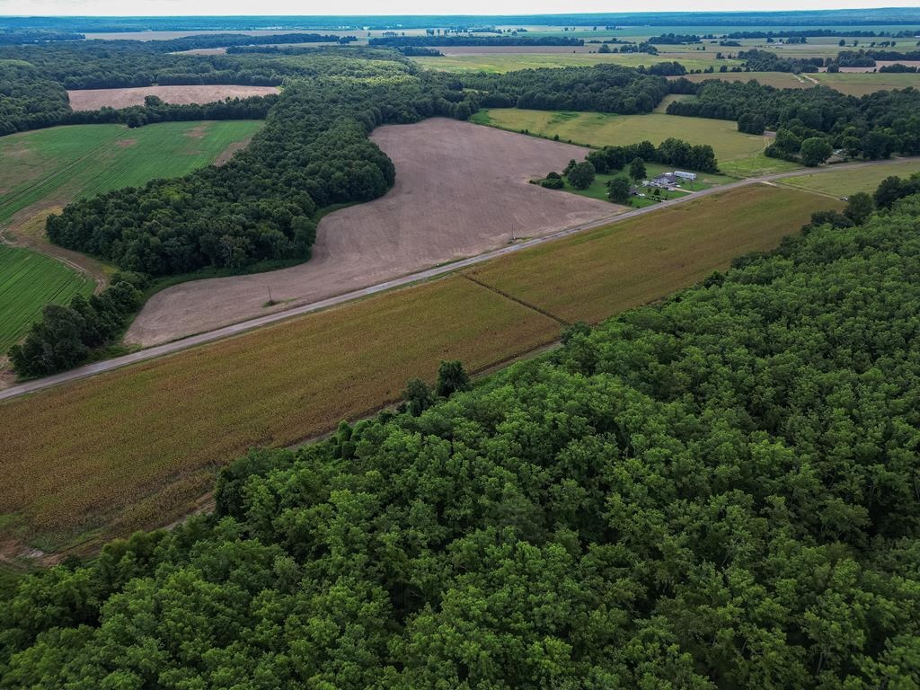 Tchula MS Delta 97 Acres