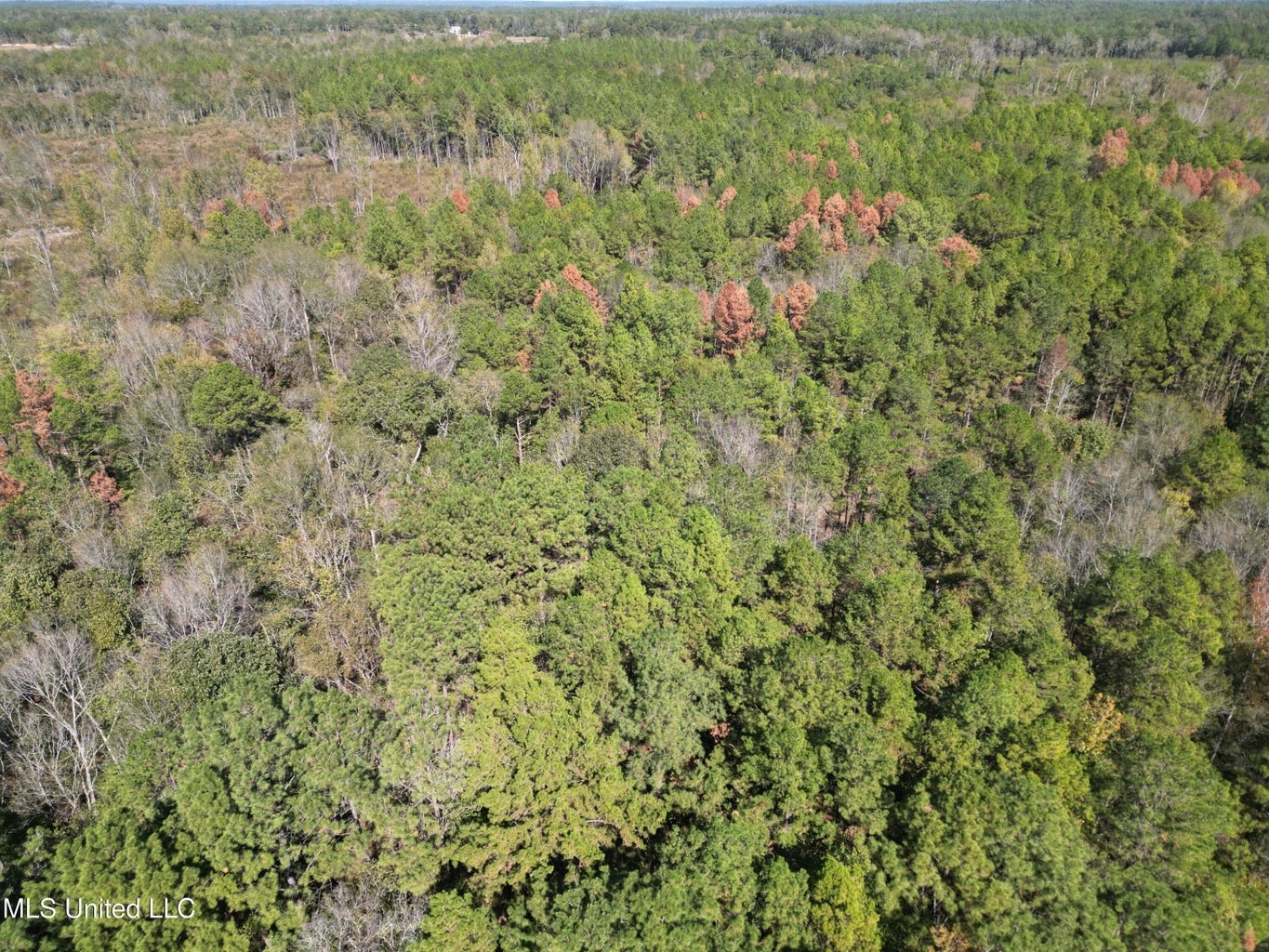 51.52 Acres Land for Sale Near McComb MS
