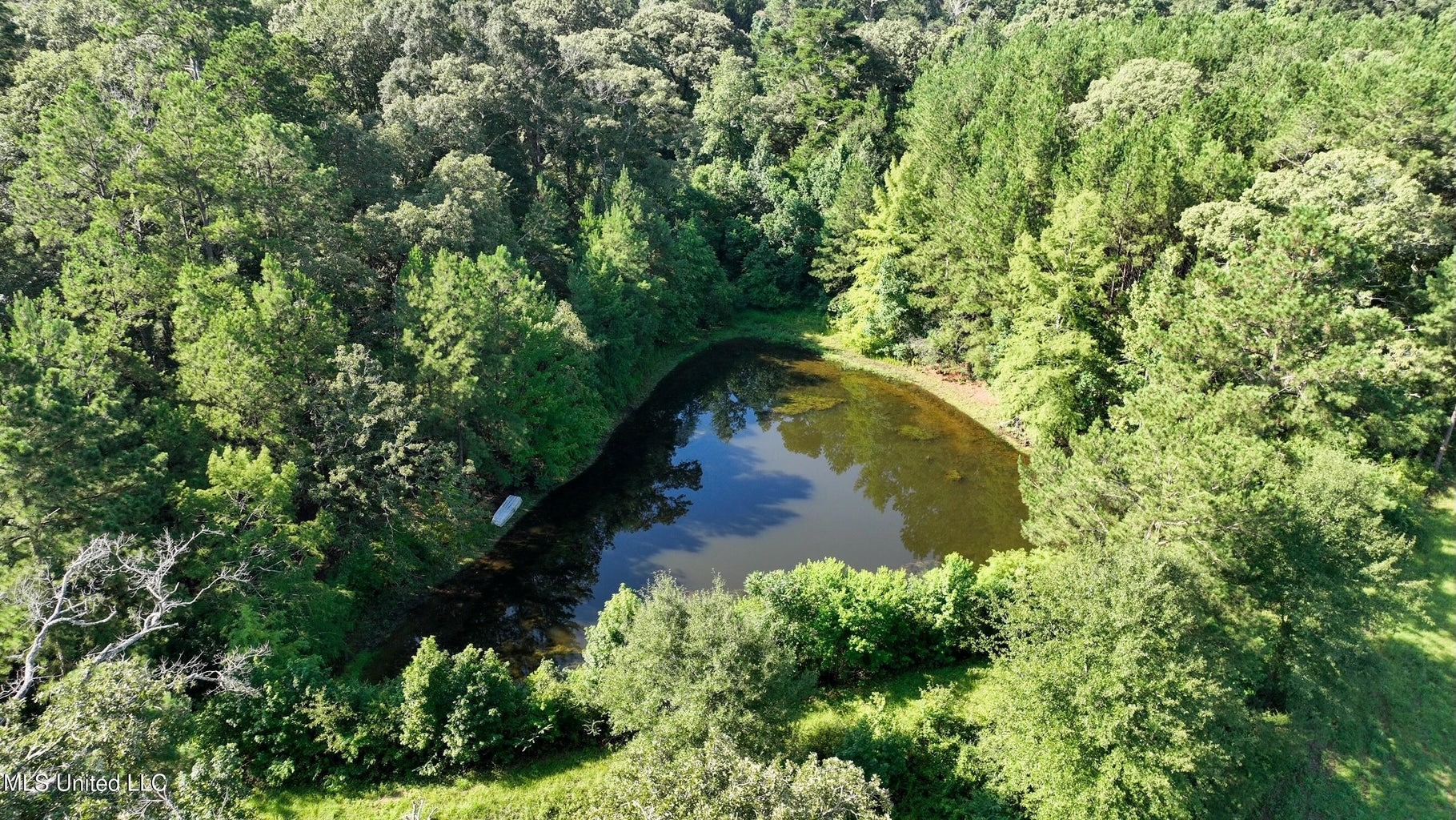 40 Acres with Country Home for Sale in Pike County MS