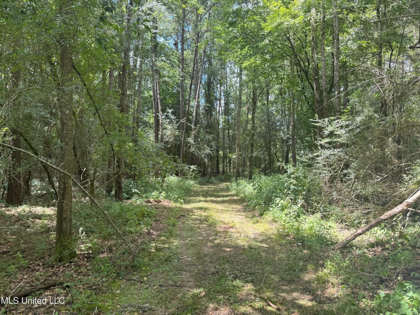 148 Acre Timberland Hunting Homesite Lincoln County, MS