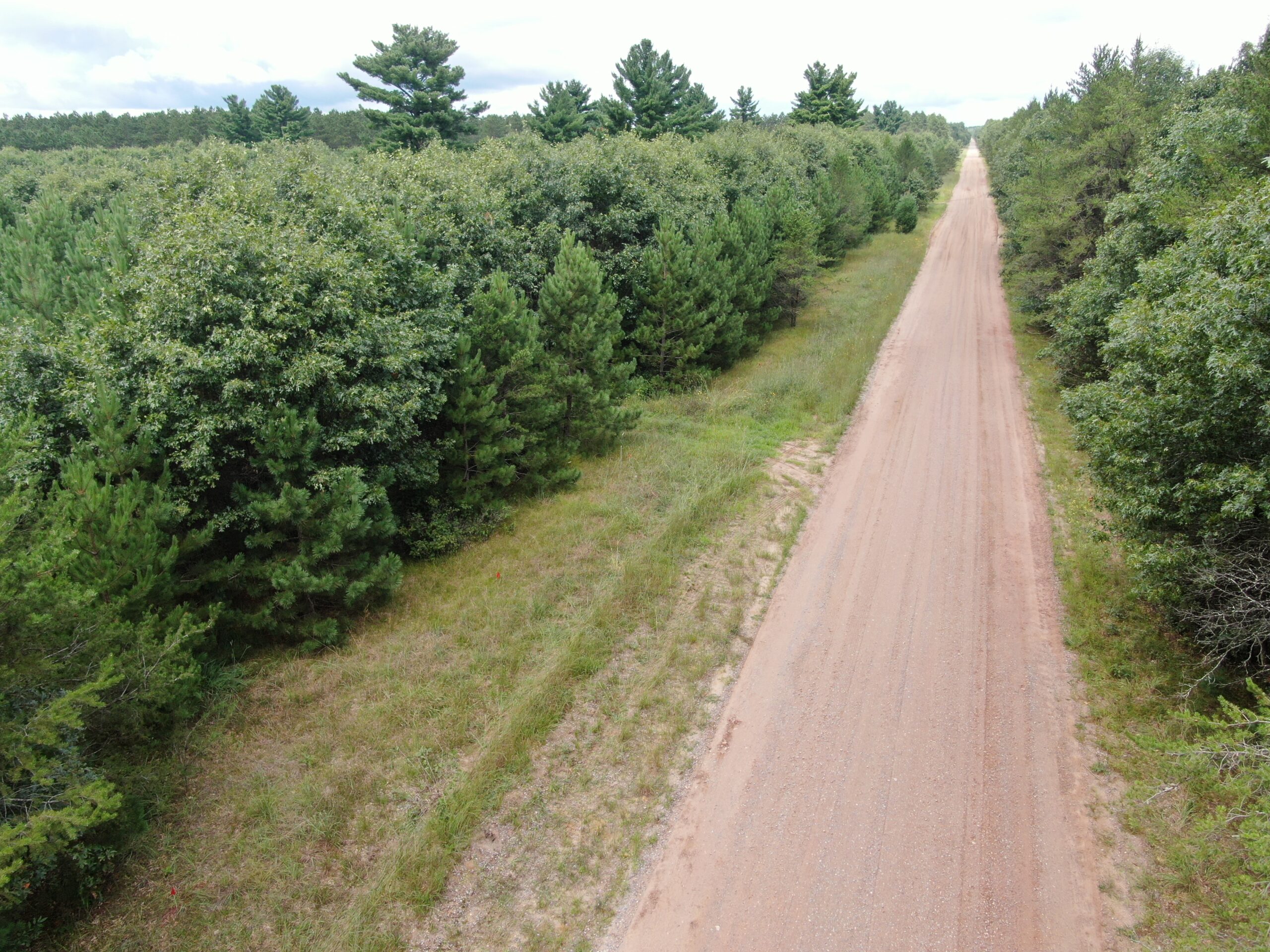 22.35+/- Wooded Acres in Adams County’s Town of Big Flats