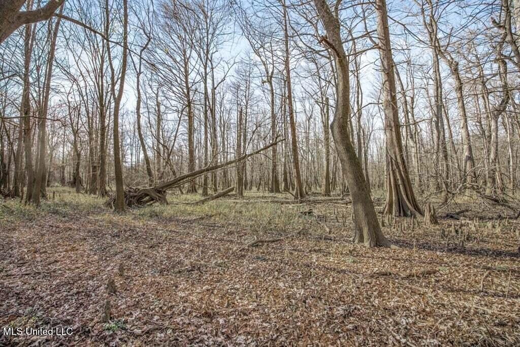 Final Flyway – Jefferson County MS Duck Hunting Land