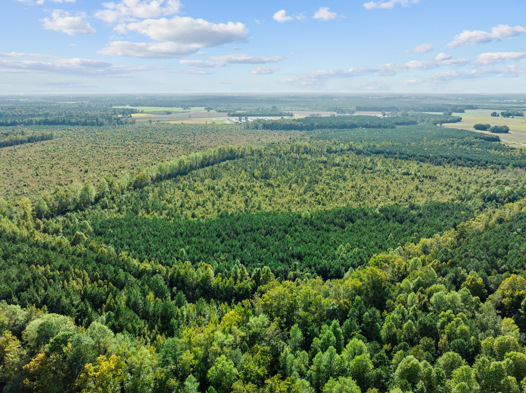 470-AC Prime Hunting Land for Sale in Pitt County, NC