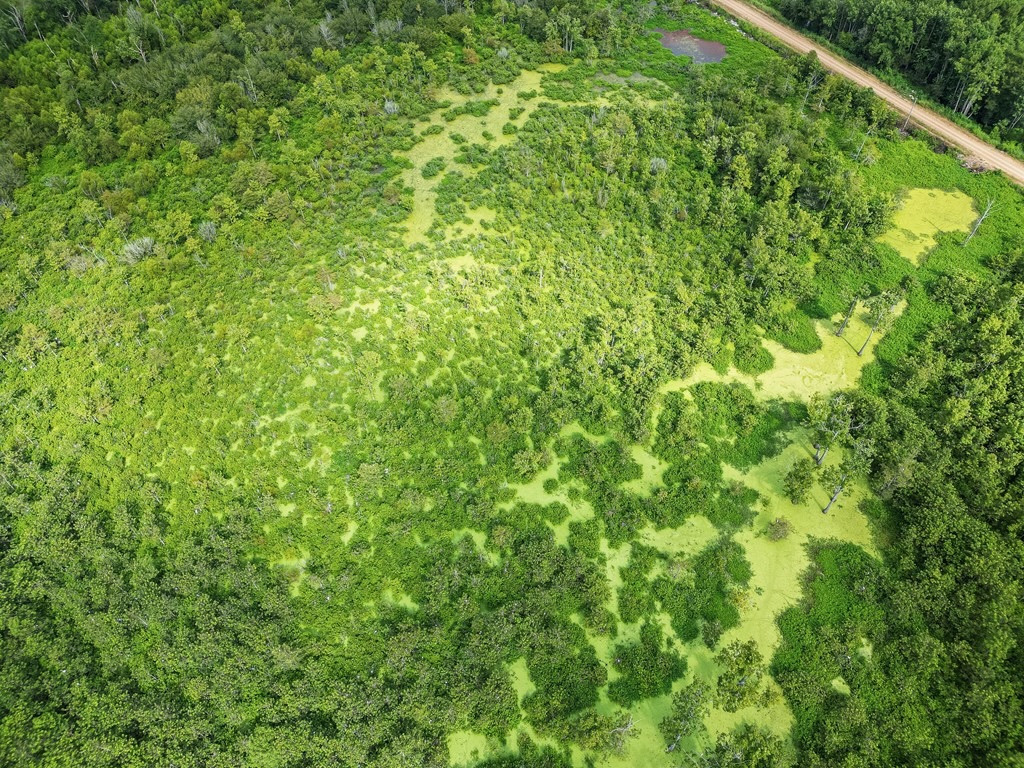 Tchula MS Delta 97 Acres