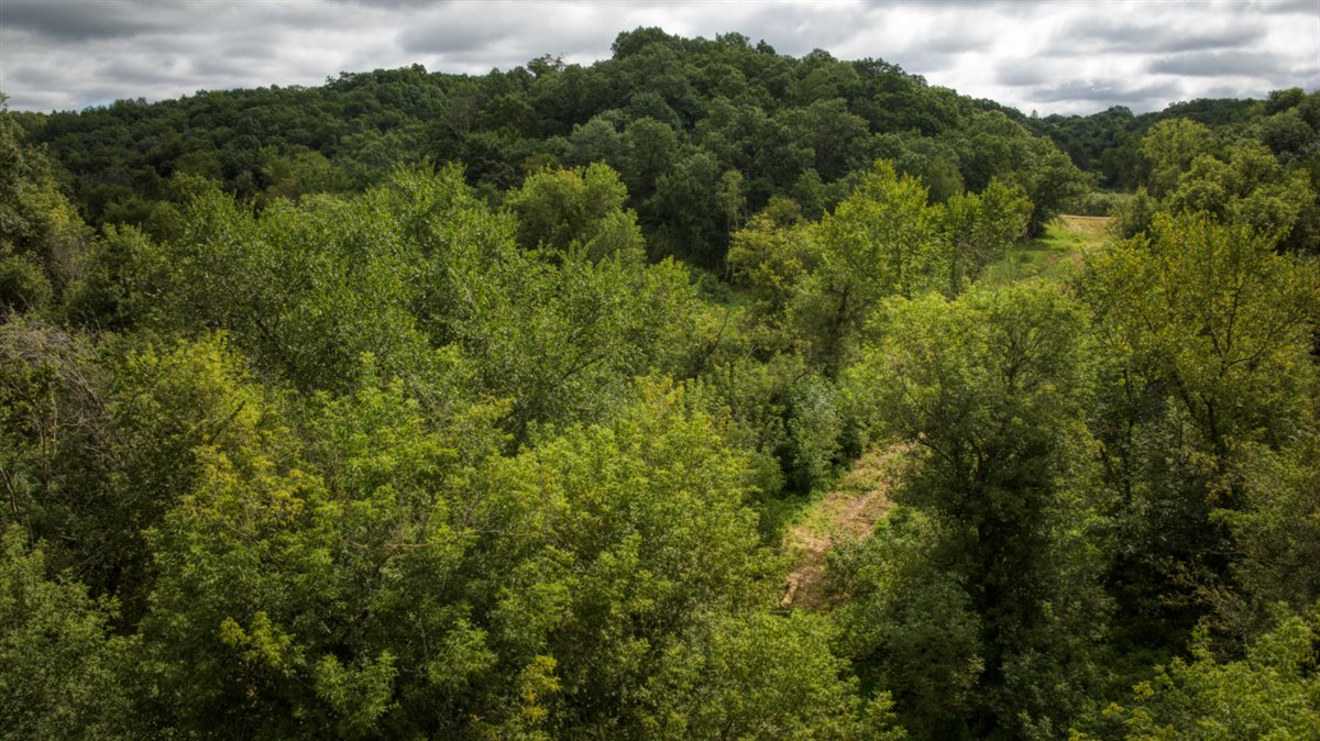Hunting Property in Trempealeau County, WI