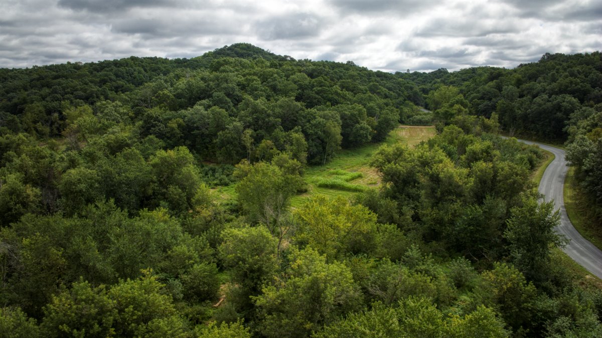 Hunting Property in Trempealeau County, WI