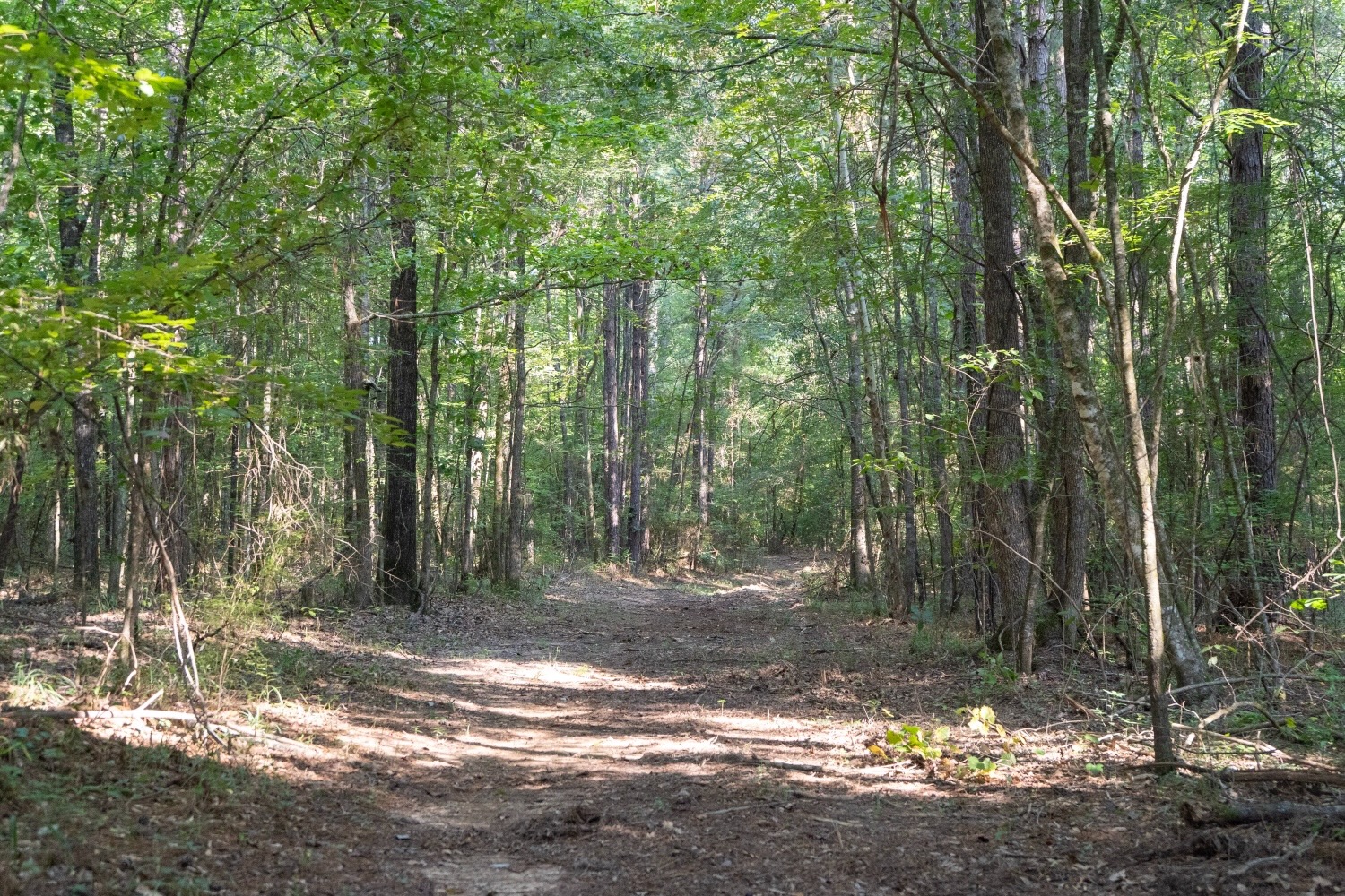 Affordable Multi-Use Recreational Tract