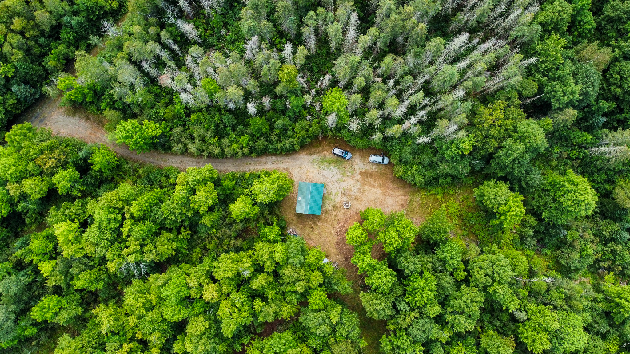 Northern Maine Recreational Land | 44 Acres