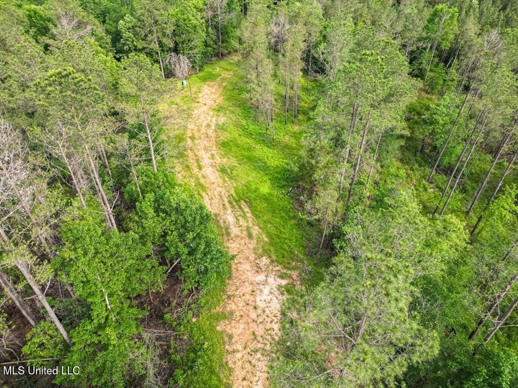 Catahoula Parish 290 Acres Hunting and Income Property