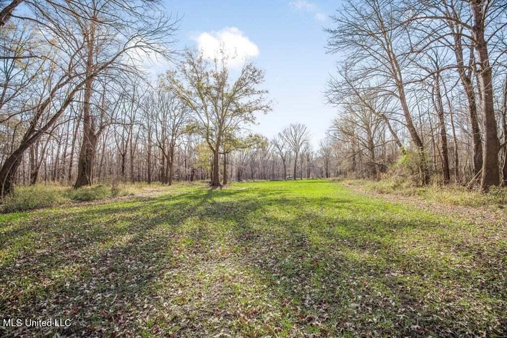Final Flyway – Jefferson County MS Duck Hunting Land