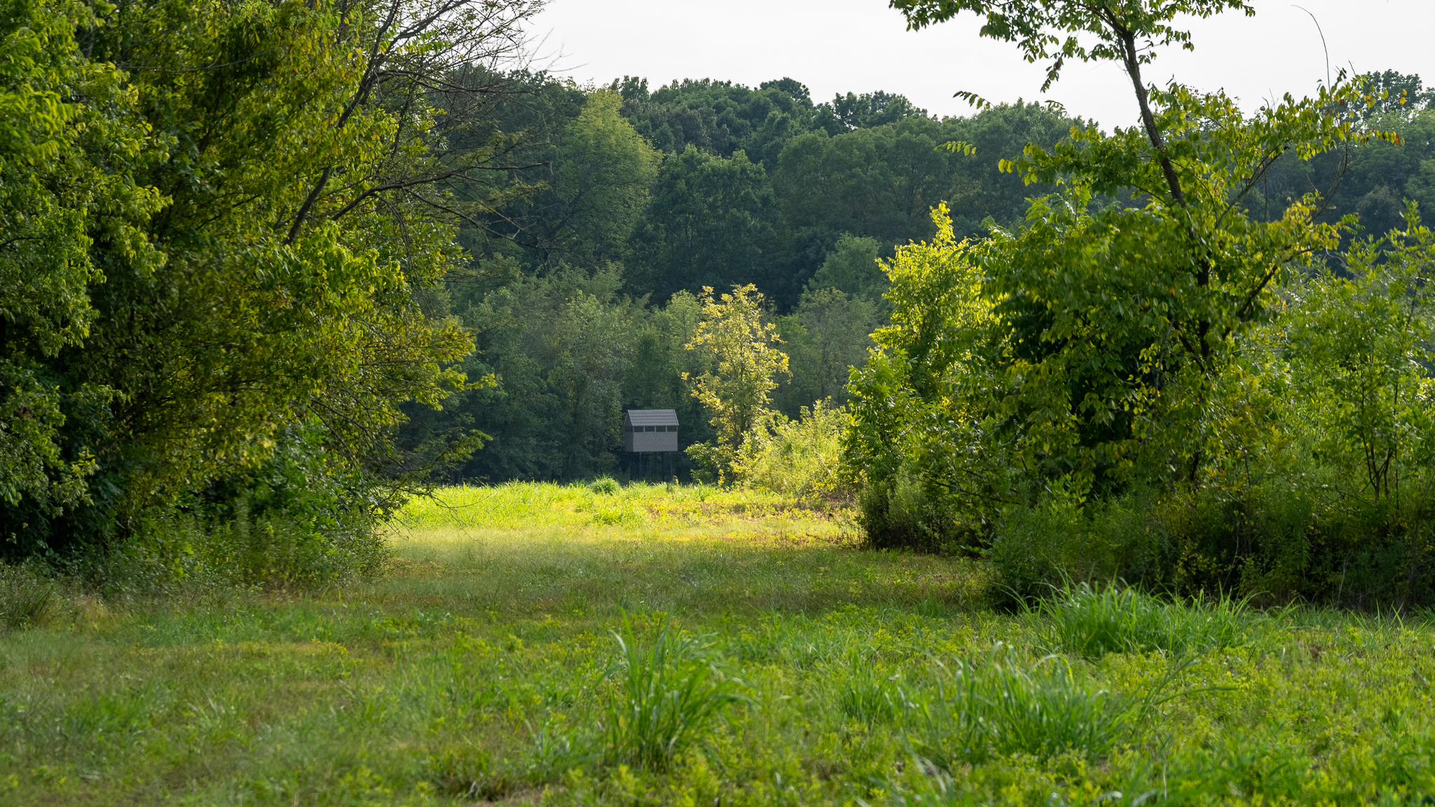 Premier Dekalb Texas Hunting Property with Red River Frontage