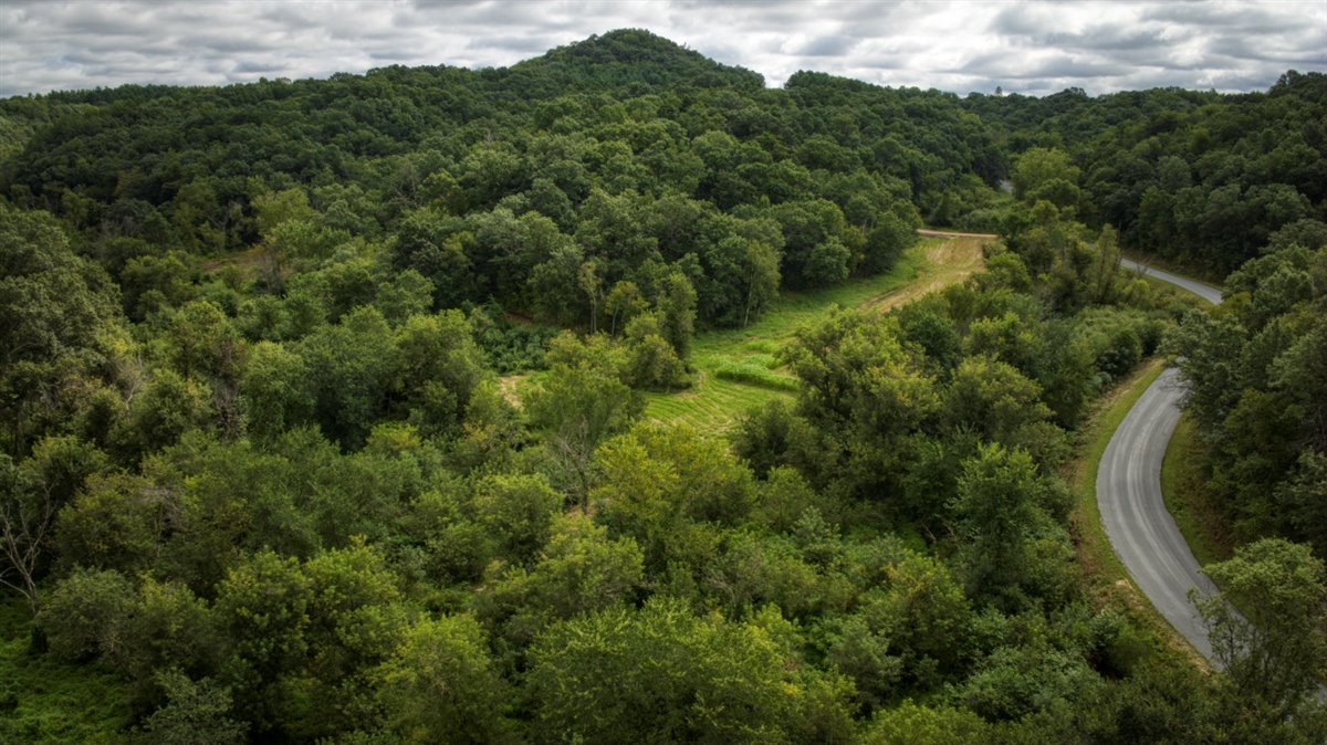 Hunting Property in Trempealeau County, WI