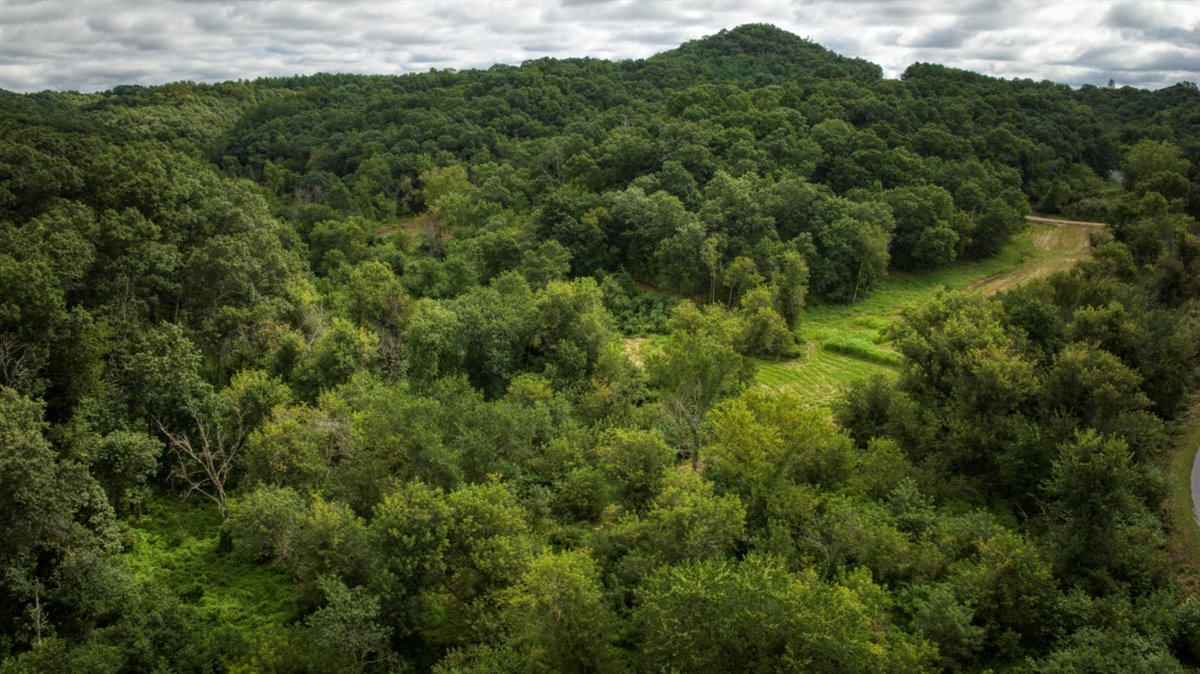 Hunting Property in Trempealeau County, WI