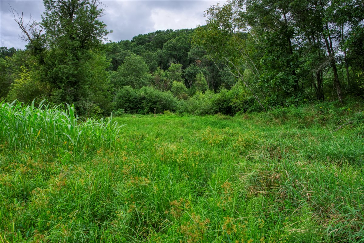 Hunting Property in Trempealeau County, WI