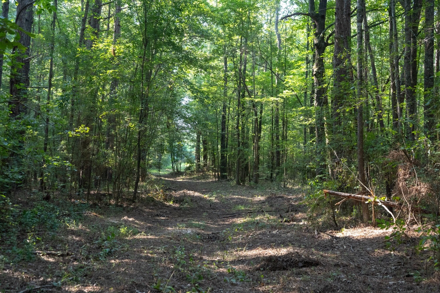 Affordable Multi-Use Recreational Tract