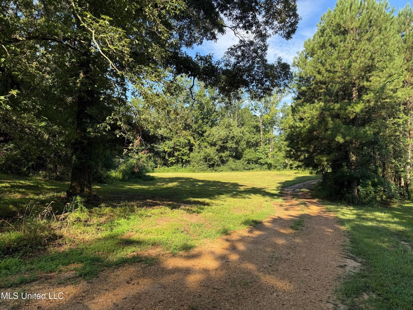 40 Acres with Country Home for Sale in Pike County MS