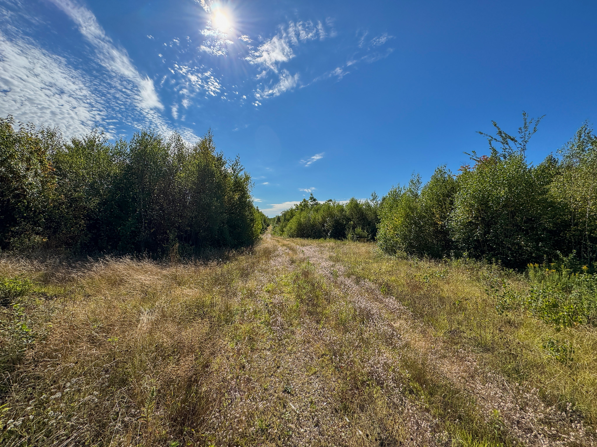 516 Acres Bordering State Wildlife Management Area