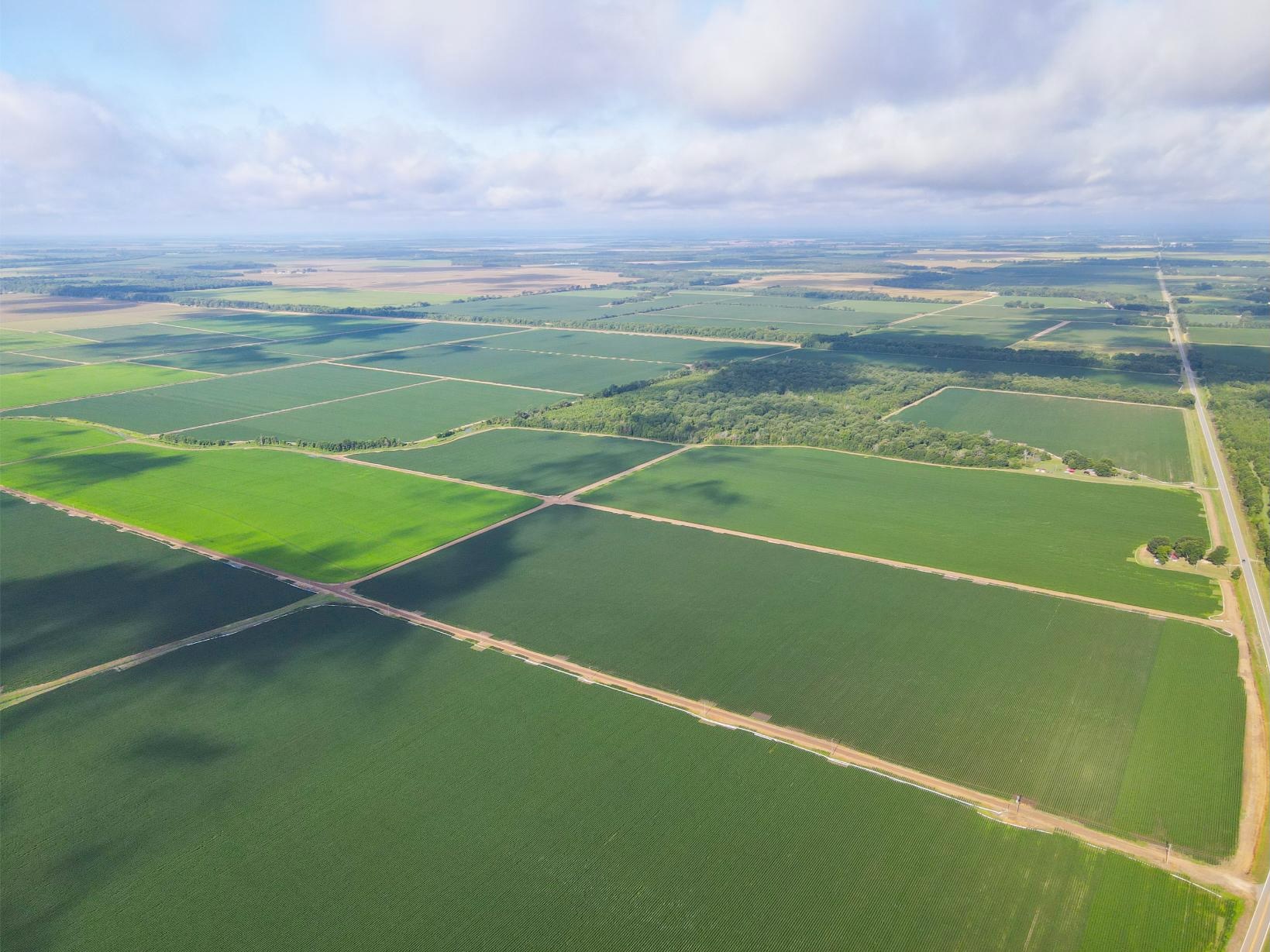 500 +/- Acres Precision Leveled and Irrigated Farmland