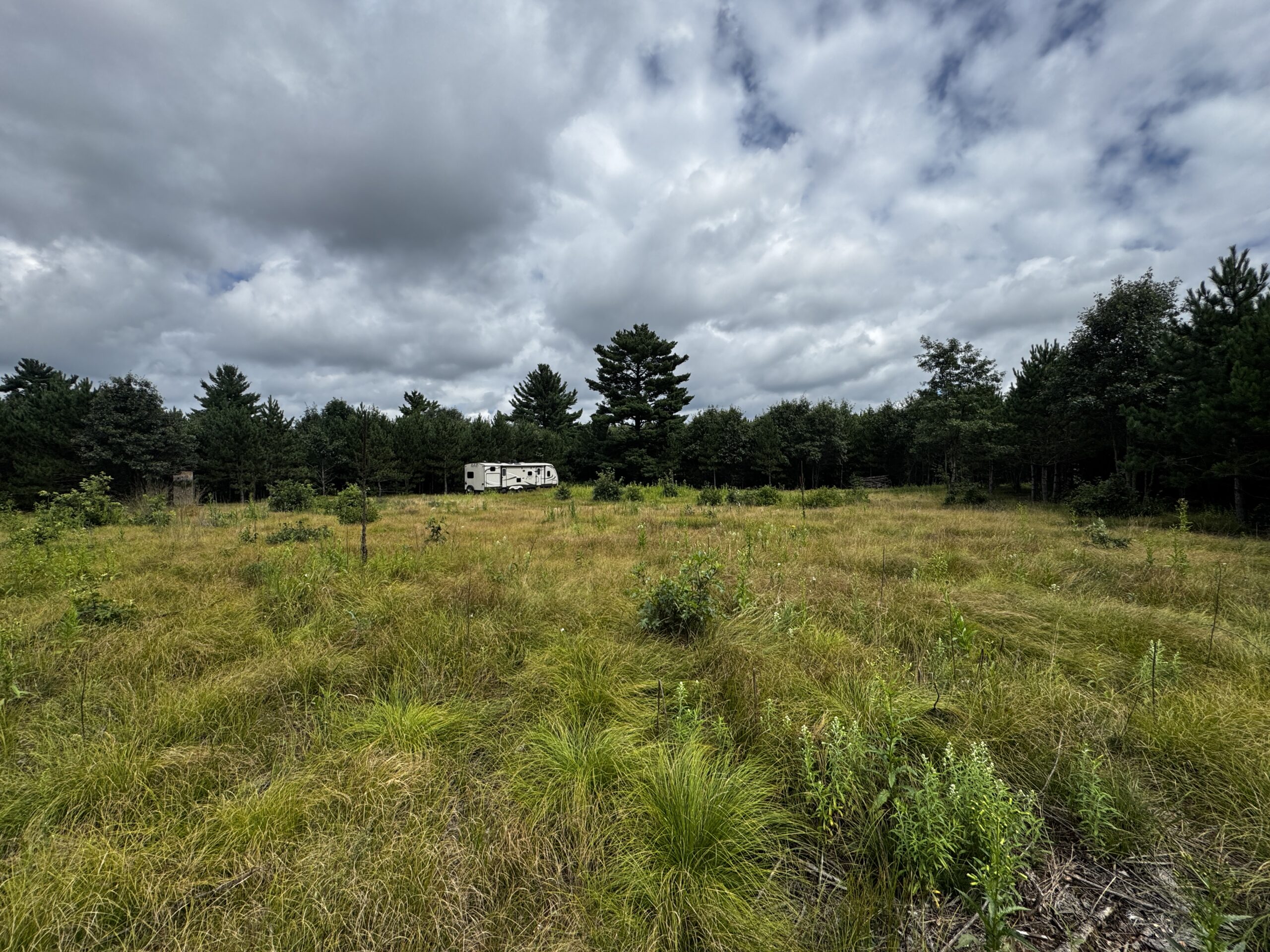 22.35+/- Wooded Acres in Adams County’s Town of Big Flats